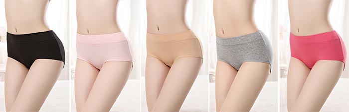 Classic Seamless Mid Rise Cotton Panties - Colours